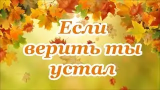 ФОНОГРАММА Если верить ты устал