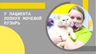 Лопнул мочевой пузырь