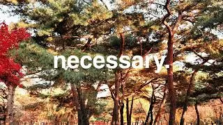 Necessary | Autumn lofi music that isn't boring