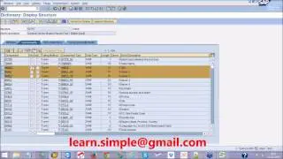 02 LSMW Direct input