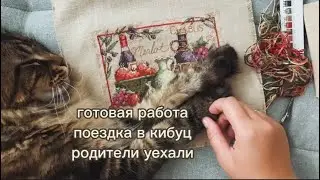 Готовая работа | Поездка в кибуц | Родители уехали