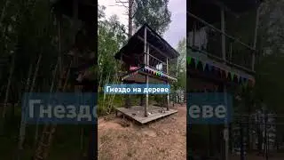 Мы наконец-то увидели где живет чудовище Домик на дереве Шалаш Гнездо Добби #forest #dobby #dragon