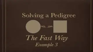 Solving a Pedigree the Fast Way (example 3)