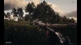 She Wanted Some Action (RDR2, Reshade, RTGI)
