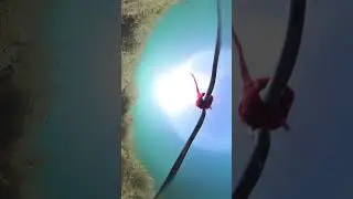 Small bug underwater 