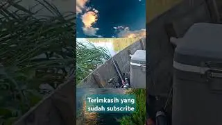 Subscribe guys, thanks🙏 #mancing #mancingudang #mancingdisungai