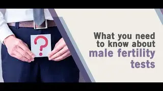4 Things You Should Know About Male Fertility