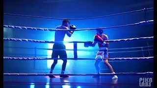 MR BEAST BOXING FIGHT