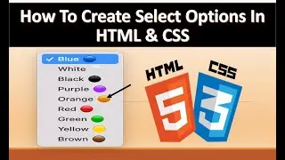 How To Create Select Options In HTML & CSS | HTML, CSS Tutorials