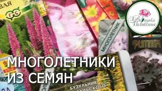 Как подобрать многолетники для семенного размножения