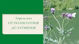Апрель 2022. От полнолуния до затмения