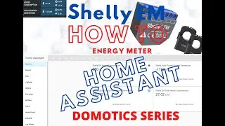 How to install Shelly EM Smart Energy Meter and Integrate into Home Assistant