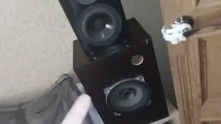 Дополнение к видео "Акустика на 10ГДШ, почему такой объем и оформление ФИ"