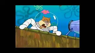 No You Ain't - Sandy Cheeks