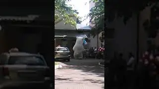 Выписка из роддома.