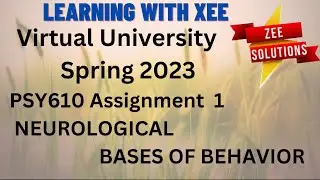 PSY610 Assignment 1 Spring 2023 Virtual University of Pakistan