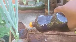 Essa dica poucas pessoas sabem