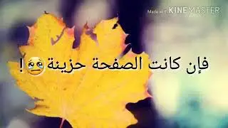أجمل حالات واتس اب /هرن وصفف /