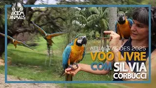 Voo Livre 2025