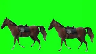 BEST FREE GREEN SCREEN VIDEO FOOTAGE HD WALKING HORSE EFFECT CHROMA KEY HIGH DEFINITION REO TECH