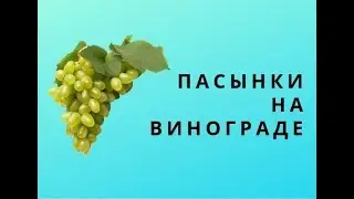 ПАСЫНКИ НА ВИНОГРАДЕ, КАК УДАЛЯТЬ