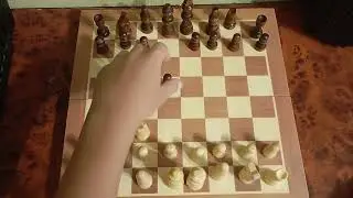 как играть в шахматы, инструкция для начинающих
