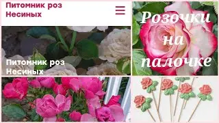 Шикарные розы на штамбе из питомника Несиных! 22 сентября 2023 г.