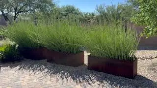 7364 E Weeping Willow Dr. Tucson, AZ