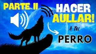 🐶🔊SONIDOS PARA PERROS PARTE II- AULLANDO 2025