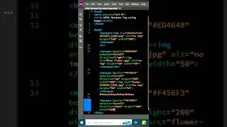 HTML Marquee Tag using Image 