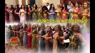 Kurdish weddings Dance Kurdische Hochzeiten Bablekan - Hozan Fikret