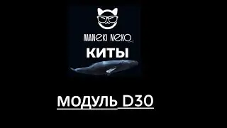 СТАРТ! MANEKI NEKO МОДУЛЬ D30