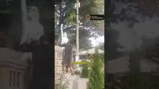 Демонтаж ПАМЯТНИКА | новости сегодня | #shorts #новости #новостисегодня #россия