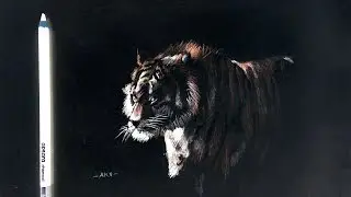 NEGATIVE DRAWING , TIGER . Time lapse Drawing