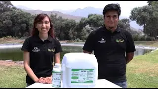 Incubagraria - Bioflash