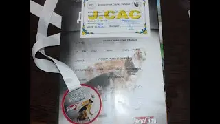Панда первая выставка и удача !!!