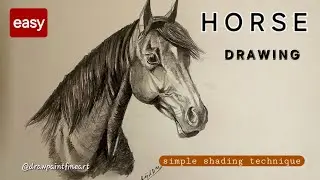EASY Horse Drawing | SIMPLE Shading | Horse Head Drawing