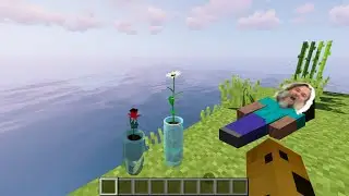 Realistic Minecraft MOVIE MOD in Minecraft