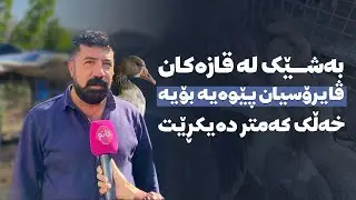 بەشێک لە قازەکان ڤایرۆسیان پێوەیە بۆیە خەڵک کەمتر دەیکڕێت