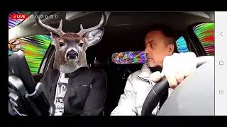 Megane taxi у Старпёр TV онлайн