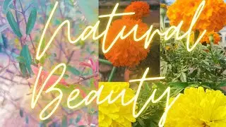 Nature of beauty, Sagor Khan, Vlog 4