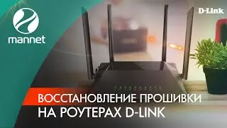 Аварийный сброс настроек роутера D-Link