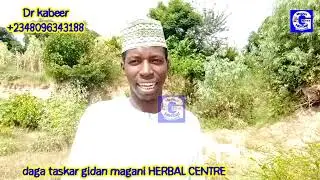 YADDA AKE MAGANI DA RAIDORE yayansa ganyensa da saiwarsa