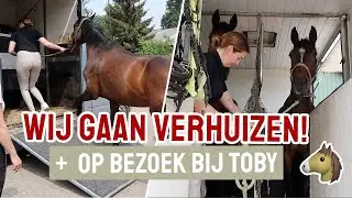 Mijn paard VERHUIZEN naar de nieuwe stal! || Vlog #319