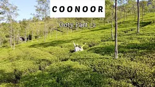Coonoor Travel Guide | Top Places to visit in Coonoor | Lamb's Rock, Dolphin's Nose, Teanest Coonoor