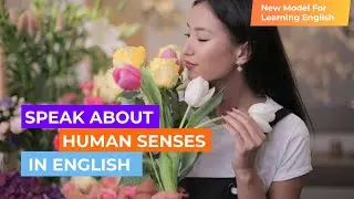 Learn About Human Senses In English (b1+/b2): Over 30 Words Explained With Examples