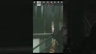 Вог в лицо #tarkov #bear #usec