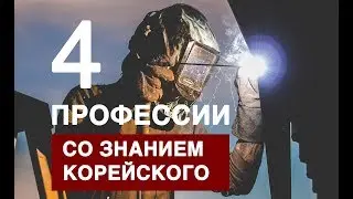 4 Профессии со знанием корейского