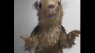 мечта алкаша