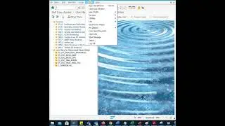 How to Check the Kernel Version of an SAP System 